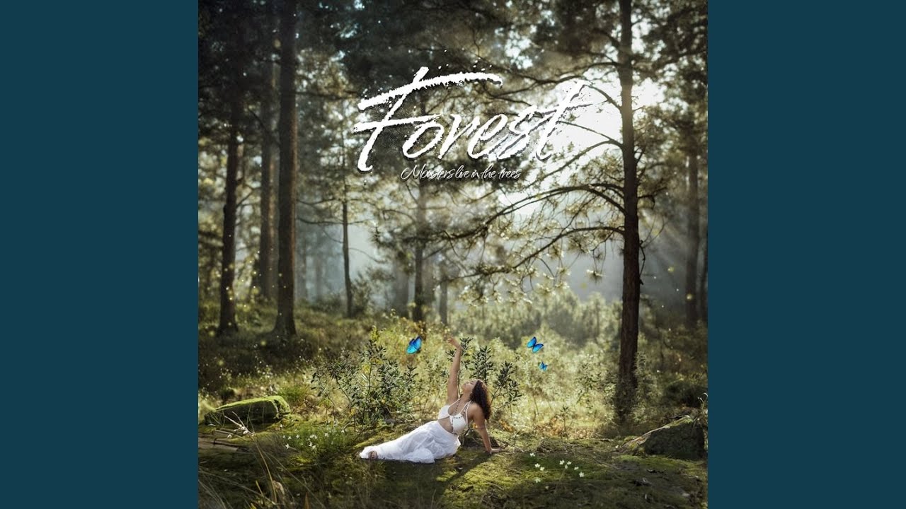 在 YouTube 上观看 birthwright 在 YouTube 上观看 birthwright