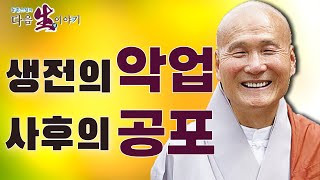 생전의 악업이 사후에 공포로 돌아온다? - 동훈스님의 다음 생 이야기 137회