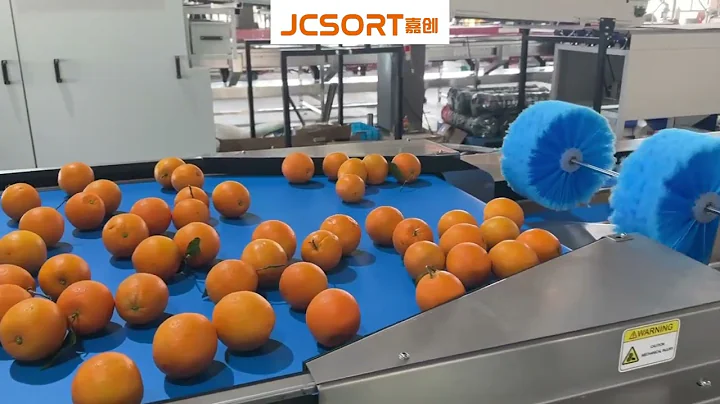 Orange sorting machine, orange grader, orange sizer