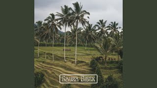 Saura Bibek
