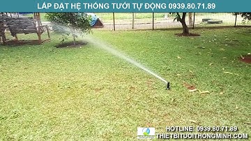 Lắp đặt tưới cỏ tự động biệt thự tưới cây cảnh cây ăn trái khuôn viên sân vườn tphcm