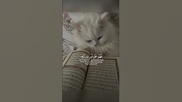 القارئ:محمد اللحيدان | انشرو الفديو اجر لي ولكم💞🌷