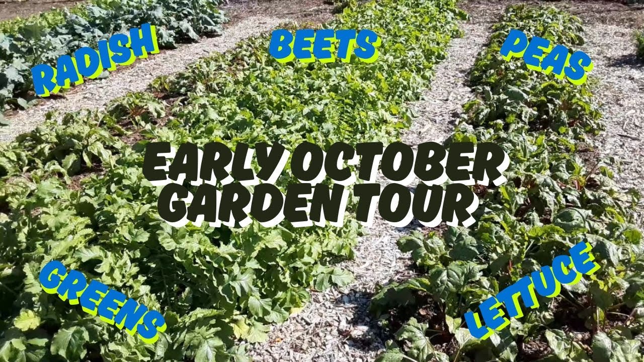 Garden Tour & Talkin' Fall - YouTube