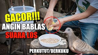 CARA MENGATASI MASUK ANGIN UNTUK PENDERITA GERD&ANXIETY