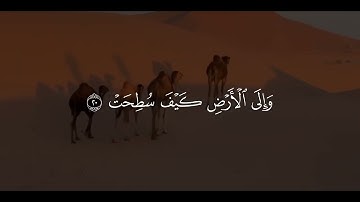 ﴿ أَفَلَا يَنظُرُونَ إِلَى الْإِبِلِ كَيْفَ خُلِقَتْ﴾[ سورة الغاشية: 17]