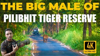 Have you #visited #pilibhit #tiger #reserve and #seen its #massive #tigers? #watch #now #viralvideo