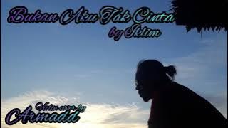 Bukan Aku Tak Cinta -IKLIM Violin cover by ARMADD