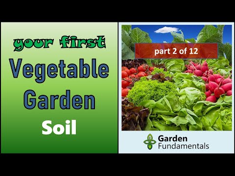 Your First Vegetable Garden 🌽🍅🍆 Selecting the Right Soil and Soil Amendments