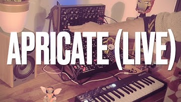 APRICATE (LIVE) - Moog Sound Studio (DFAM, Mother-32, Subharmonicon)