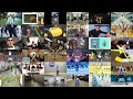 Gangnam Style 36 Parody Mashup Gangnam Style 36 Parody Mashup