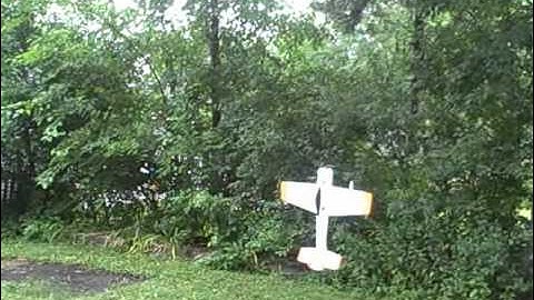 Scratch Built EPP 3D Yak 55