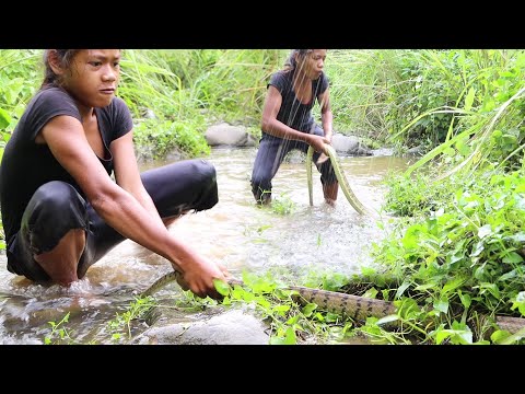 Survival skills: Catch and Cook Snake for Survival food in the jungle