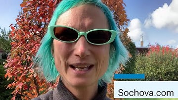 Be Agile Series - 11. Organizational Agility