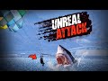 The shocking shark attack on a parasailer