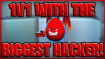 1v1 with the Biggest Hacker! | Shell Shockers