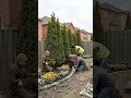 Incredible Backyard Transformation: From Bare Dirt to a Stunning Flower Garden