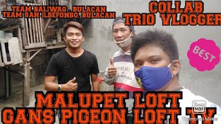 DALAWANG MALUPITANG PIGEON VLOGGER NAG LOFT VISIT SA ATING LOFT ?