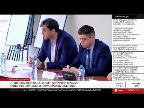 კმისიის წევრებმა კერძო სეკტორში განხორციელებული ცვლილებები გააცნეს