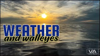 Fishing Forecast: What To Look For When Checking The Weather