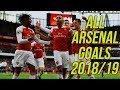 All 112 Arsenal Goals 2018/19