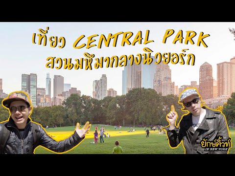 วีดีโอ: สวนสาธารณะในนครนิวยอร์กที่ดีที่สุด