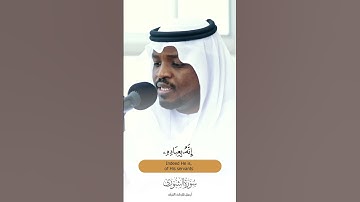 " وهو الذي ينزل الغيث من بعد ما قنطوا "  || تلاوة جميلة للقارئ مختار الحاج من سورة الشورى