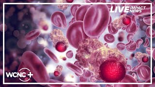 Doctor, cancer survivor share details on Blood Cancer United fundraising event