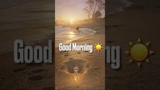 Good Morning 20260329