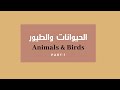 مفردات الحيوانات والطيور بالعربية Names Of Animals And Birds In Arabic And English Part 1