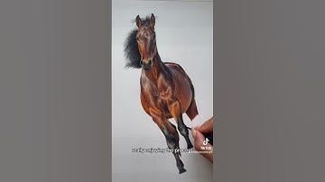 Draw with me | Coloured pencil horse drawing #colourpencil #horsedrawing #pencilart #horselover