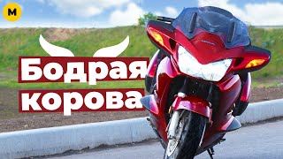 видео: Обзор Honda Pan European 1300 — гибрид туриста и спорттуриста картинка: Обзор Honda Pan European 1300 — гибрид туриста и спорттуриста
