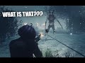 can we survive the apocalypse?? {day 43} Grinding MULTIVERSUS until shutdown... +24 hour stream