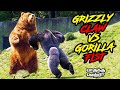 Silver back Gorilla vs Grizzly Bear in Tamil கொரில்லா vs க்ரிஸ்லி கரடி #savagepoint #gorilla #bear