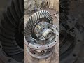 Spicer BS4 crown pinion setting video #technical #shirts #trending #video