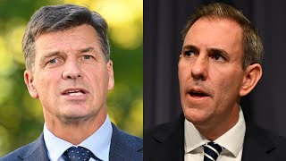 ‘Coalition hasn’t learned’: Chalmers takes swipe at Taylor over ‘plagiarised’ migration policies