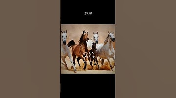 #القارئ ياسر الدوسري# تلاوة خاشعة من سورة الحج