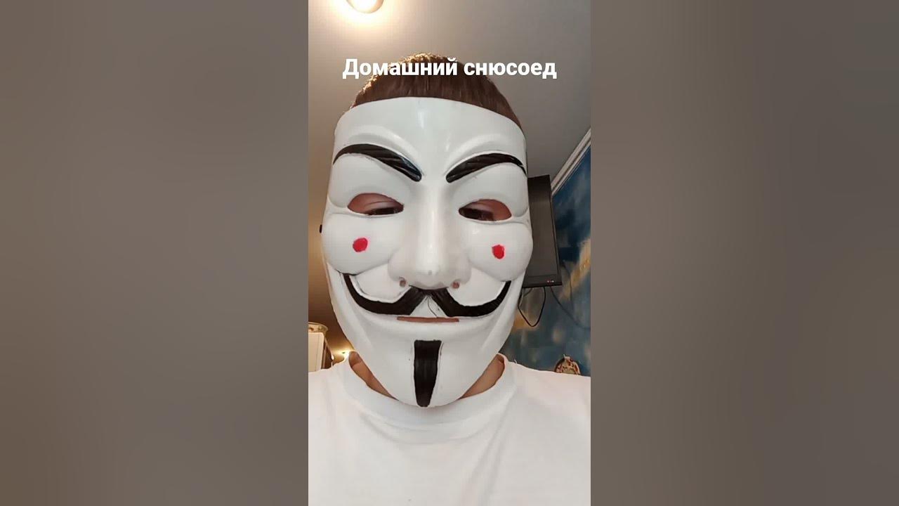 Домашний снюсоед. - YouTube