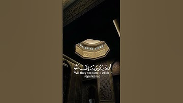سورة المائدة 🌿🌿قراءة الشيخ عبدالرحمن مسعد 🌿🌿 راحة نفسية #قرآن
