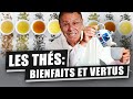 THÉ VERT, THÉ NOIR, THÉ BLANC, MATÉ... VOUS ALLEZ TOUT SAVOIR SUR LE THÉ