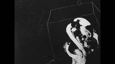 Jak3 / Trashman & Lil Kaine - Smokez Still Heavy, Pt 2