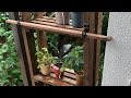 DIY   植物を飾る棚を作ってみた