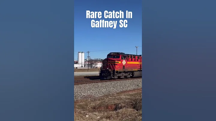 Rare Catch In Gaffney SC