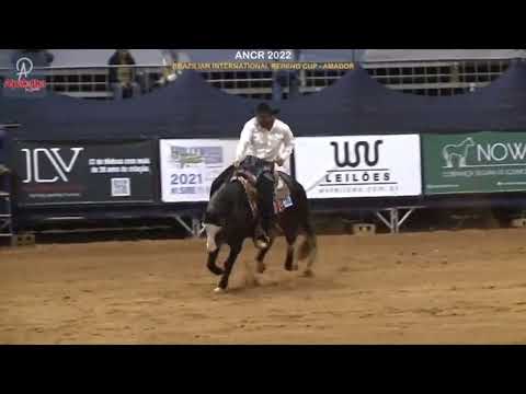 Brazilian International Reining Cup - Rodrigo Marim - Silver Surfeer Dudde