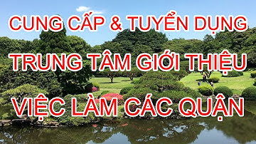 Công Ty Giới Thiệu Người Giúp Việc, Cần Tìm Người Giúp Việc Gia Đình | Giúp Việc Nhà Bảo Việt #86