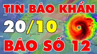 🔴[Trực Tiếp] TIN BÃO MỚI NHẤT: Bão số 12 hướng vào Huế - Quảng Ngãi, miền Trung mưa lớn dồn dập