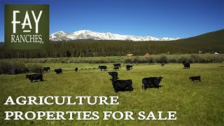 Agriculture Properties For Sale | Fay Ranches