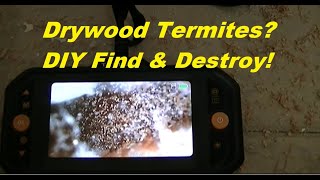 Locate Drywood Termites & Destroy Them!