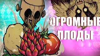 Выращиваю огромные плоды в Don't starve together