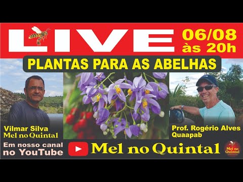 Vídeo: Plantas do sudoeste para abelhas: plante um jardim polinizador no sudoeste