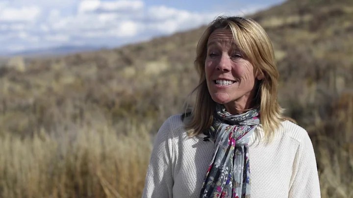 Lynn Ware Peek: I Love Open Space